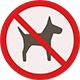 No mascotas